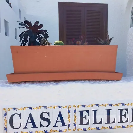 Casa Ellen 公寓 托雷维耶哈