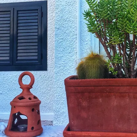 Casa Ellen * 托雷维耶哈