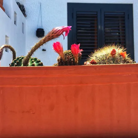 Casa Ellen *
